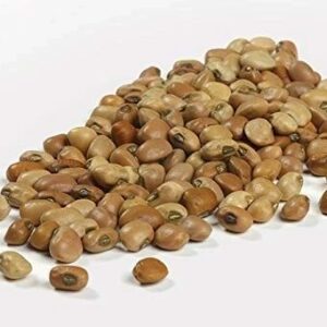 Brown Beans โ 10lbs